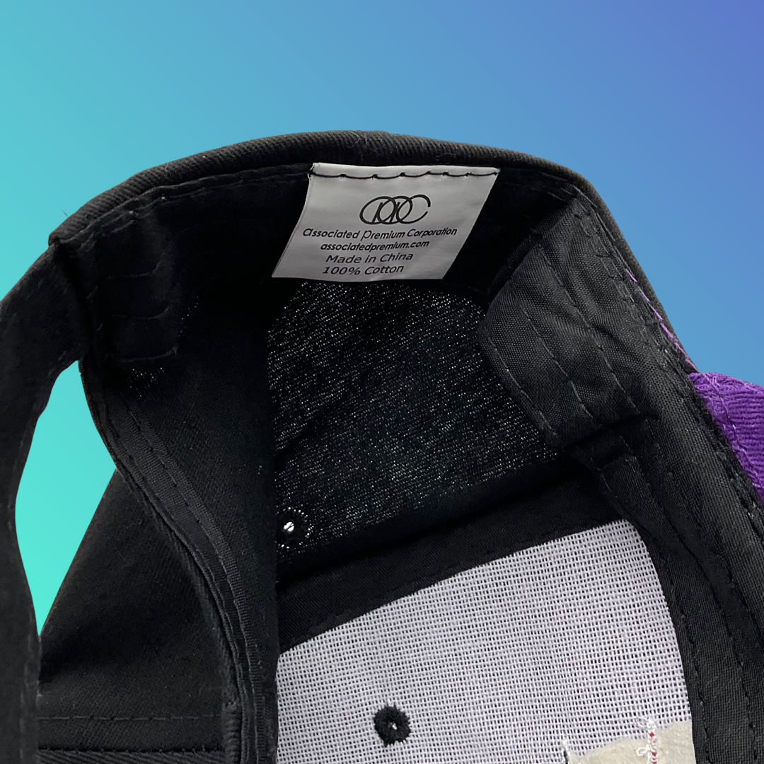 MiLB Winston-Salem Dash “W-S” Purple Bill Black Hat