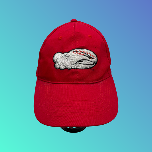 MiLB Winston-Salem Dash Red Hat
