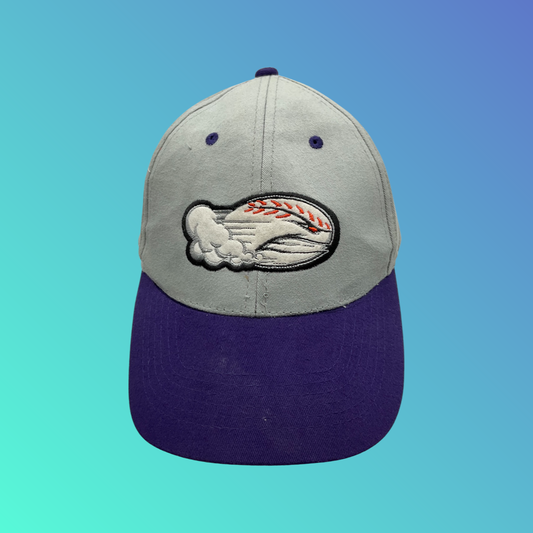 MiLB Winston-Salem Dash Purple Bill Grey Hat