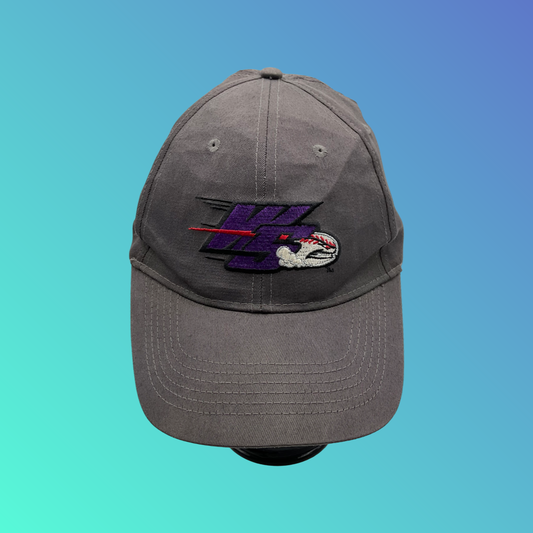MiLB Winston-Salem Dash “W-S” Grey Hat
