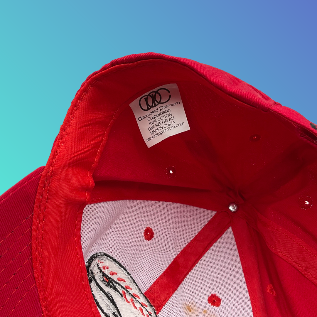 MiLB Winston-Salem Dash Red Hat