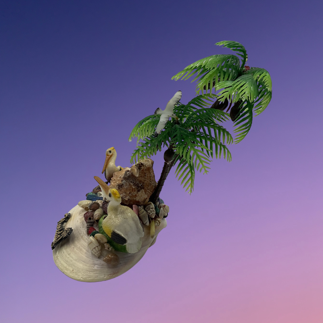 Florida Seashell Diorama Souvenir