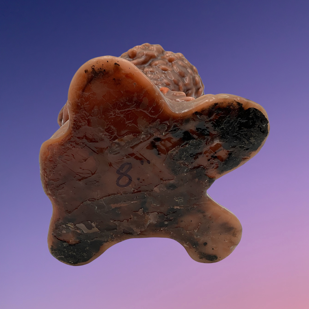 Wax Owl Candle (13")