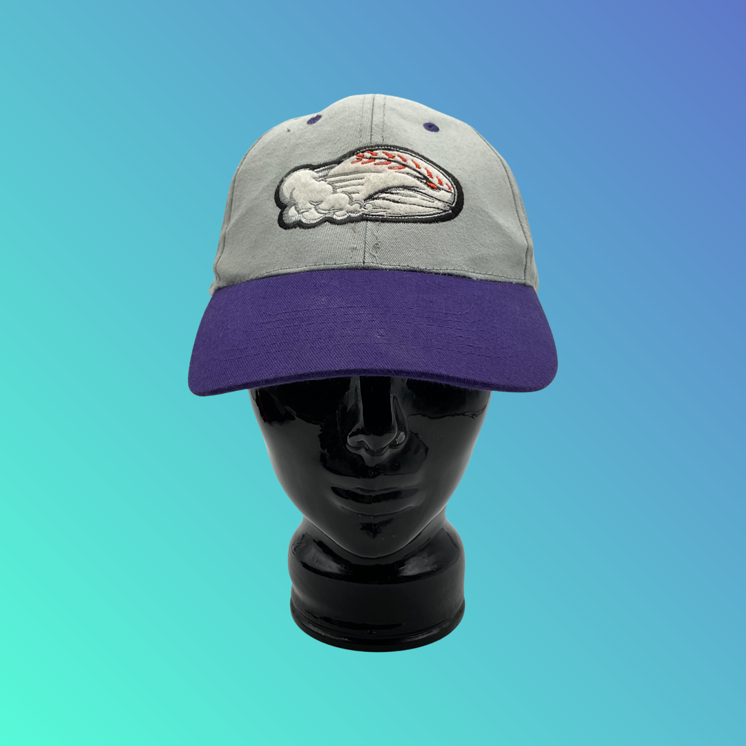 MiLB Winston-Salem Dash Purple Bill Grey Hat