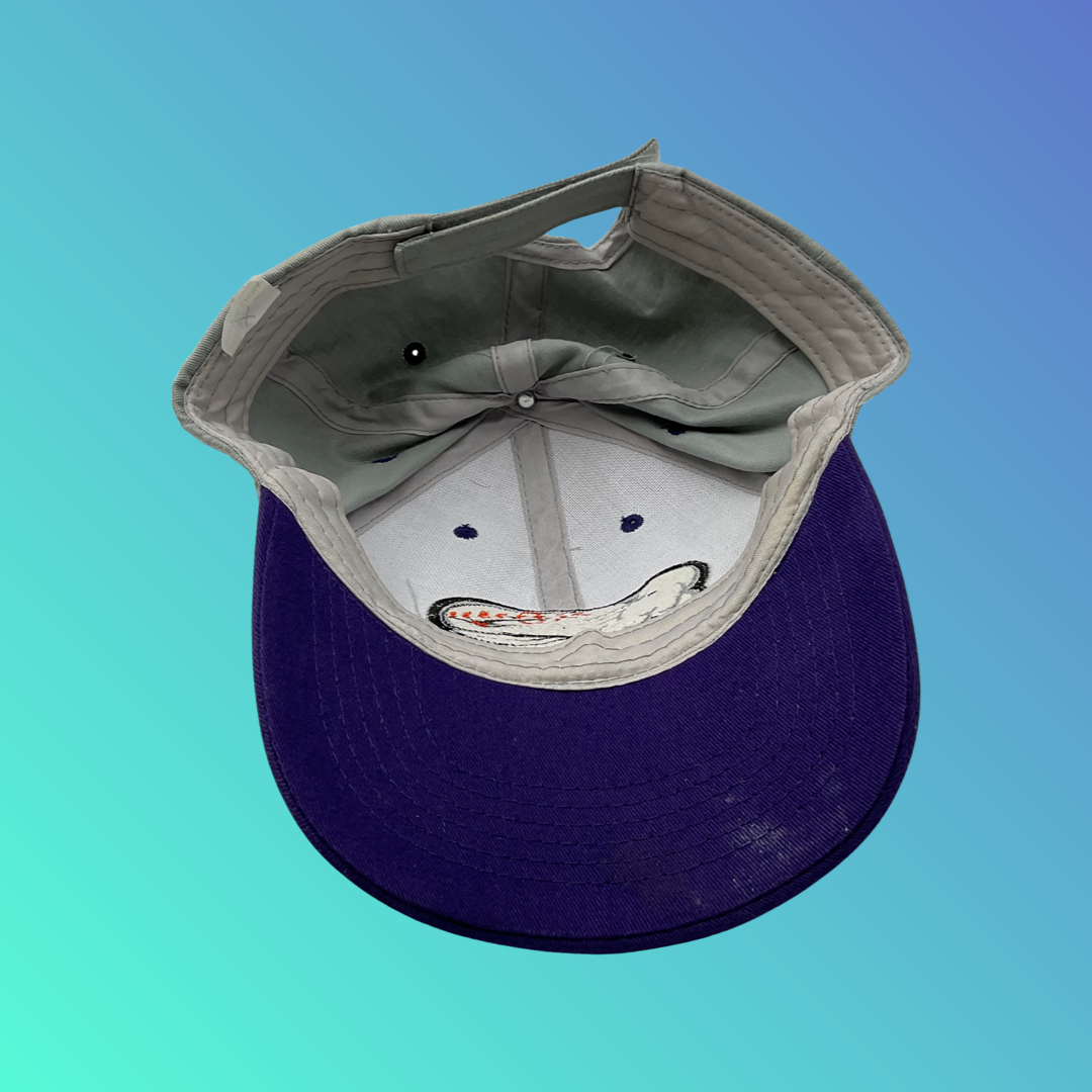 MiLB Winston-Salem Dash Purple Bill Grey Hat