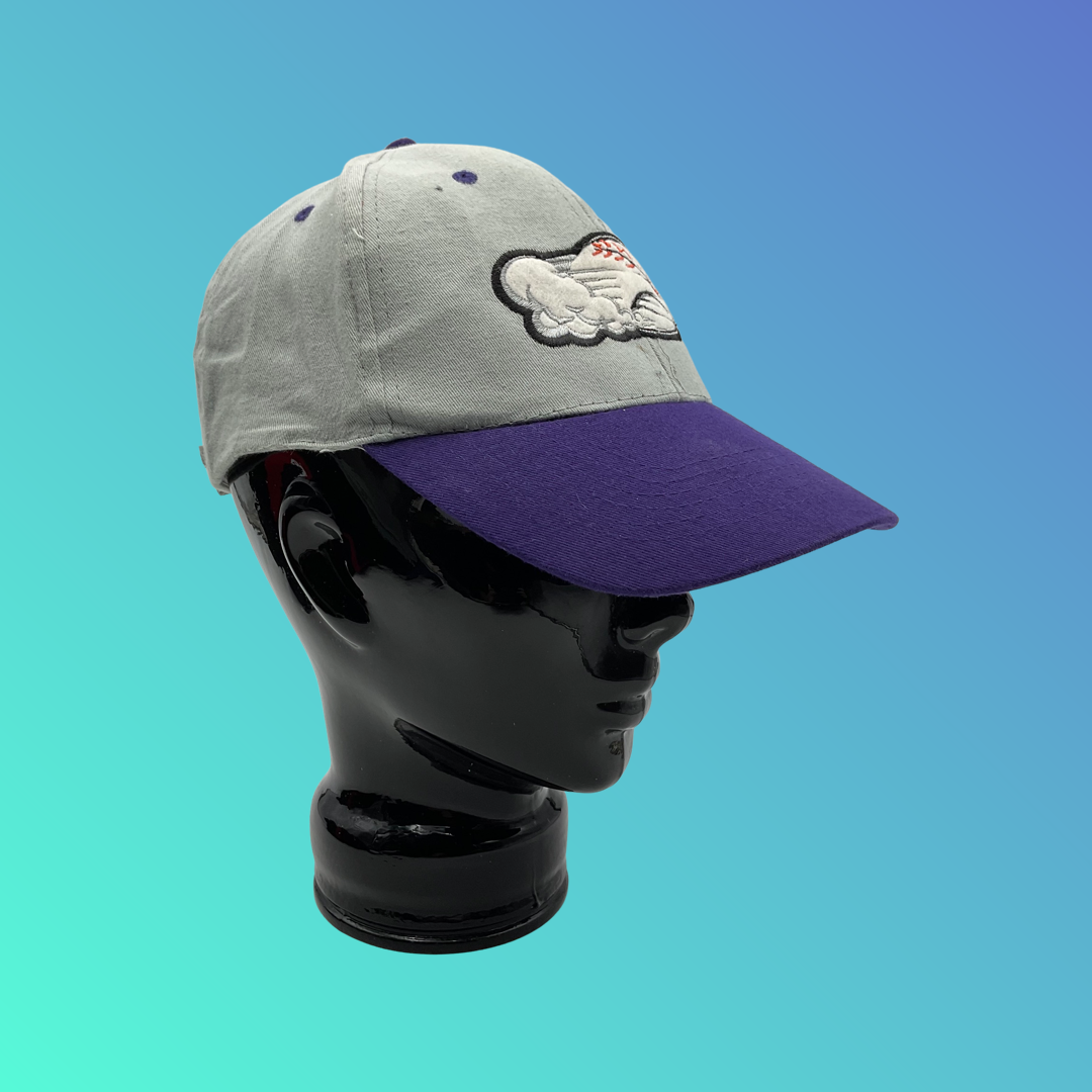 MiLB Winston-Salem Dash Purple Bill Grey Hat