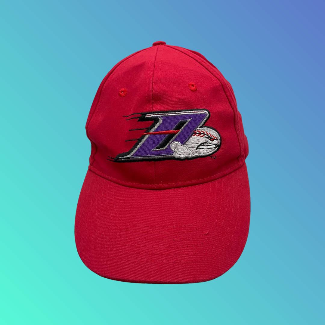 MiLB Winston-Salem Dash “D” Red Hat