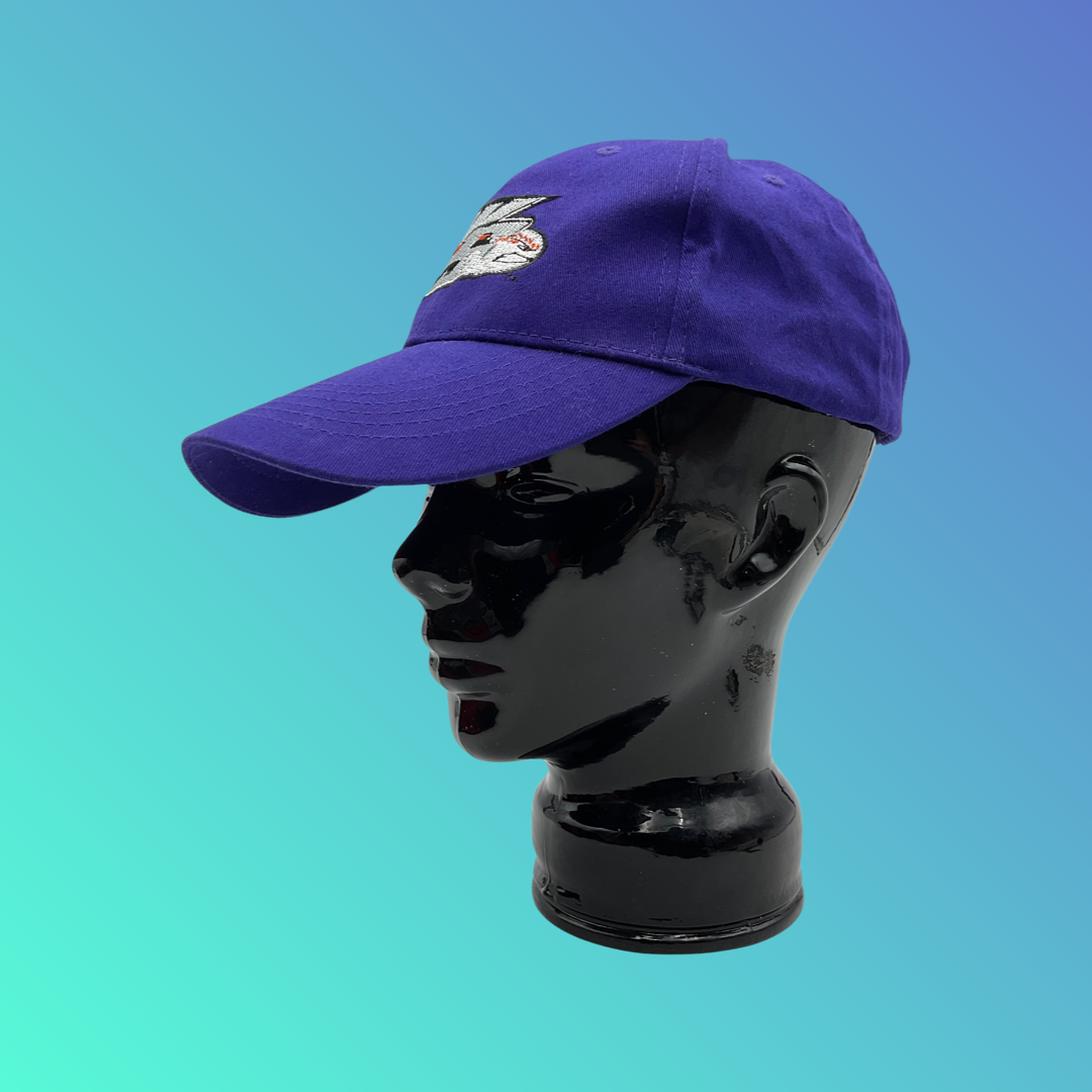 MiLB Winston-Salem Dash “W-S” Purple Hat