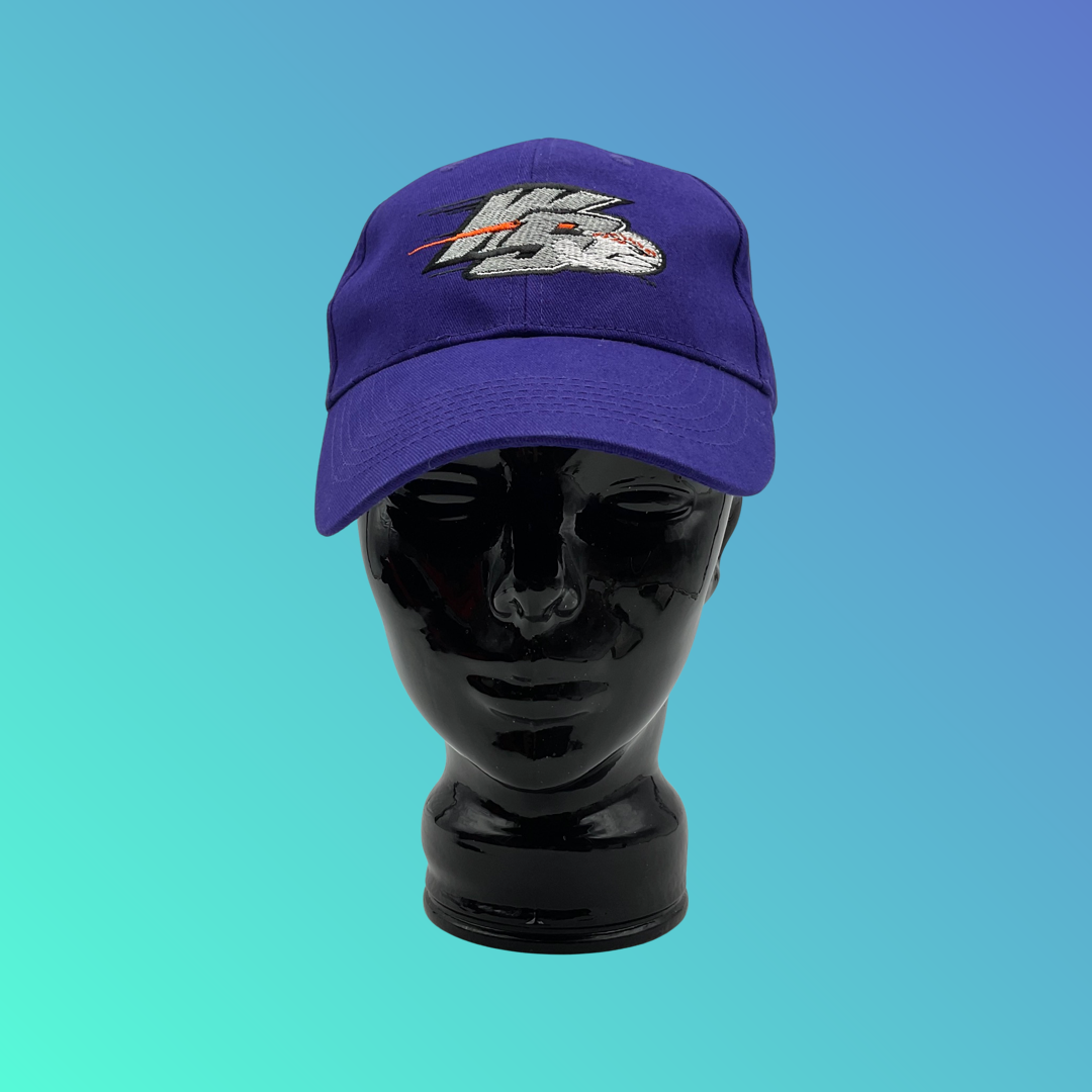 MiLB Winston-Salem Dash “W-S” Purple Hat