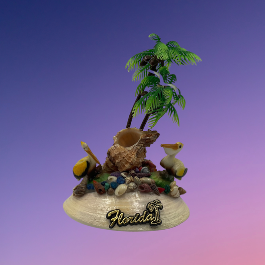 Florida Seashell Diorama Souvenir