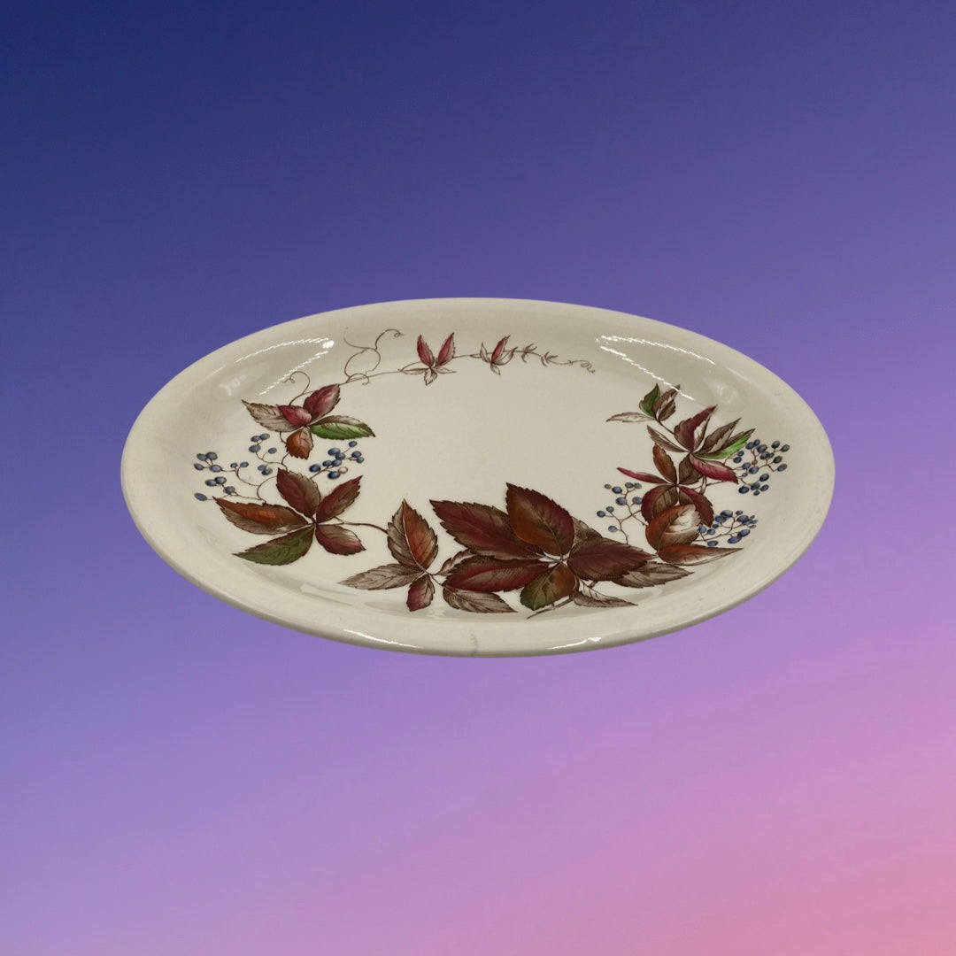 Johnson Brothers Windsor Ware JB158 Platter