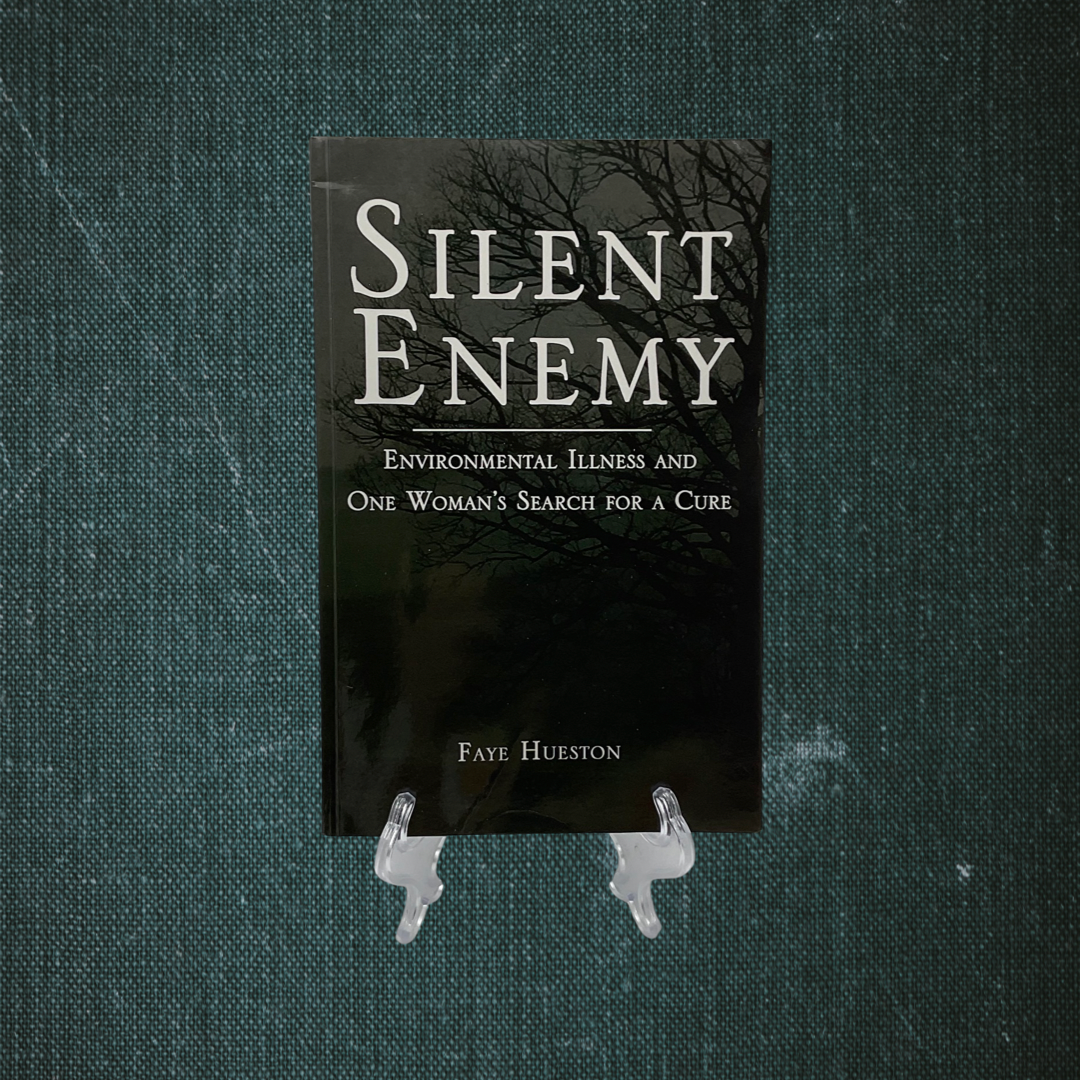 Silent Enemy by Faye Hueston (2009)